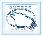 Summer Wolf Logo Ice Block